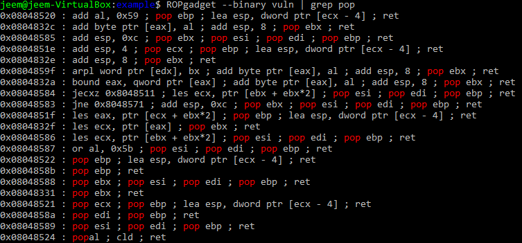 instructions containing pop in vuln